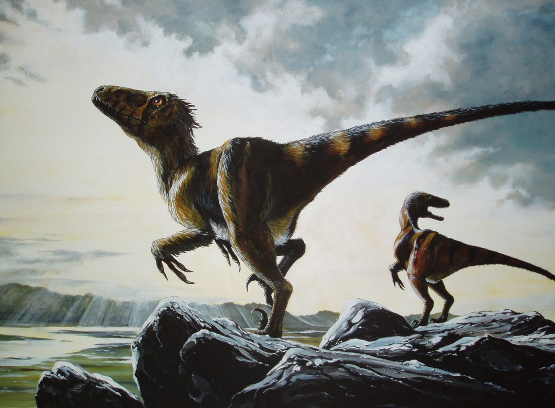 Small Theropod jpg